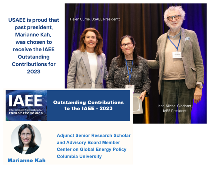 Marianne Kah Iaee Outstanding Contributions For 2023